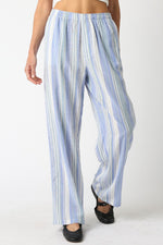 Blue Haidie Stripe Pants
