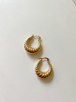 Twisted Alex Hoops
