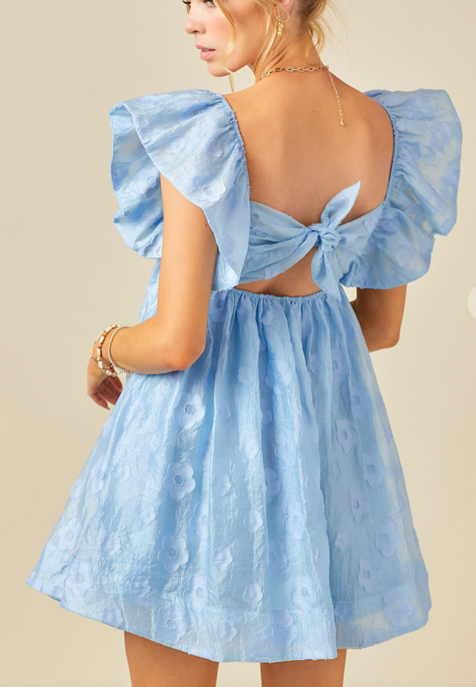 Blue Ruffled Daisy Dress